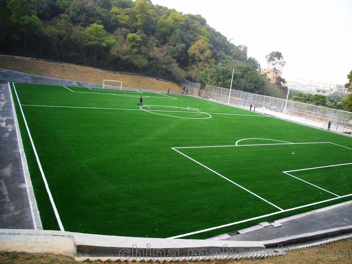 关于全国足球场地绿化技术应用创新，打造“绿色运动场”的信息