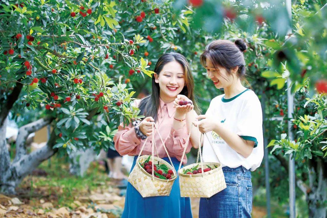 包含果园采摘运动会,结合采摘乐趣的休闲运动的词条 包含果园采摘运动会,结合采摘乐趣的休闲运动的词条