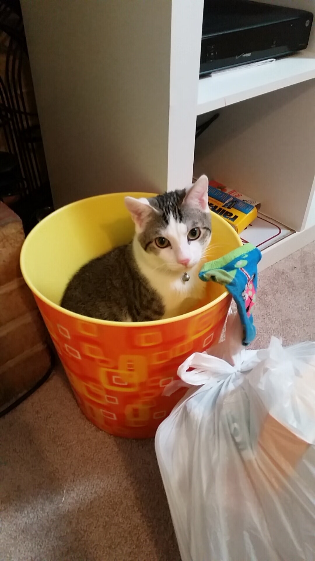 _探索未知的洞穴运动：勇士的黑暗冒险_，勇敢的探索未知的世界