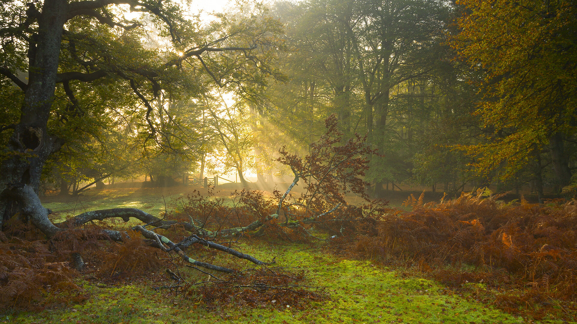 爱游戏娱乐平台-_酷炫霓虹滑板：城市夜行的时尚运动_，滑板 炫酷