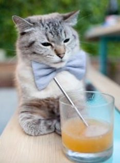 _野外定向漂流：团队协作的极限考验_，在野外如何定向