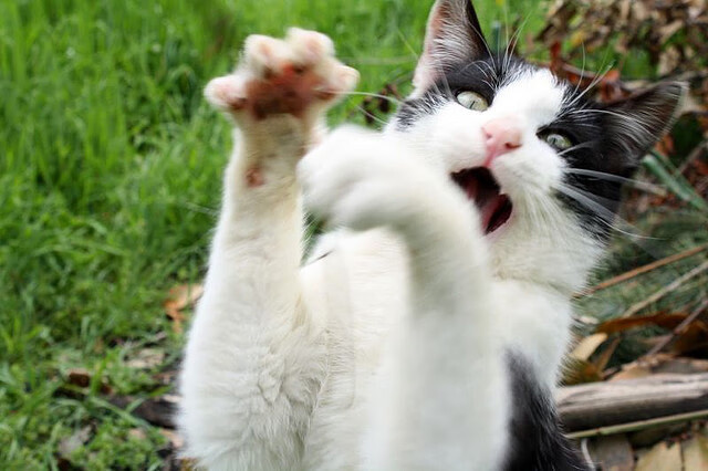 爱游戏综合娱乐-“校园足球新政策落实，青少年参与热情高涨”，校园足球新规