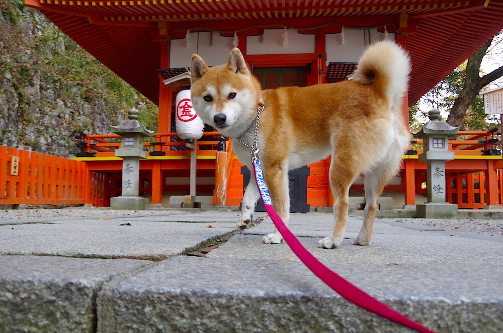 AYX体育-【战术博弈】防守与进攻的完美结合战术大揭秘，防守战术还有什么用