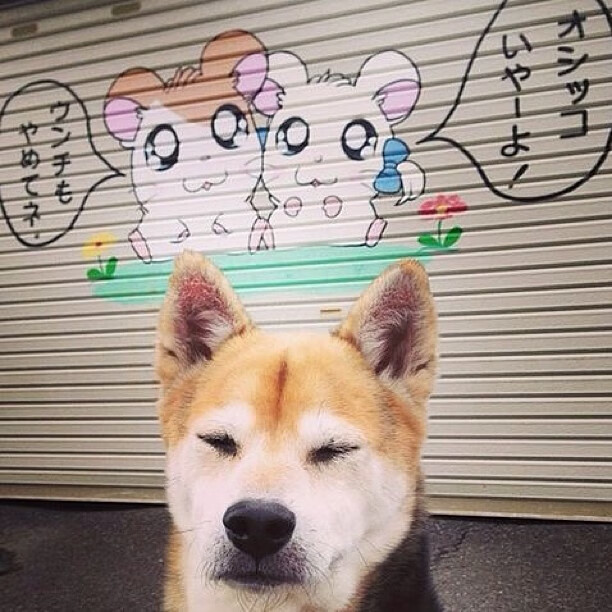 【战术博弈】马克·塞尔比:用细节实现“铁壁”防守的秘诀,马克塞尔比的人生经历