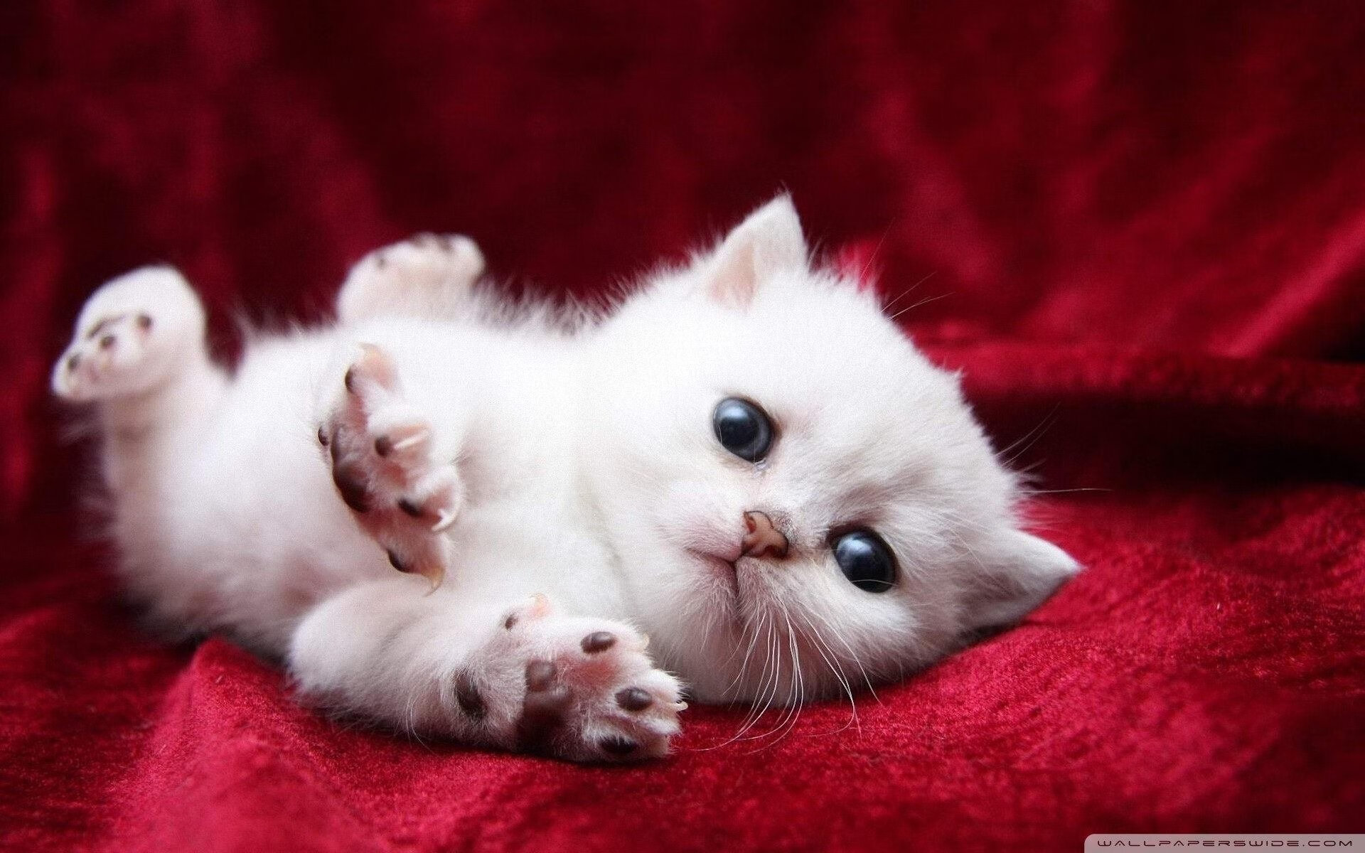 【战术大PK】奥沙利文精通的多变攻防战术解析，奥沙利文的防守