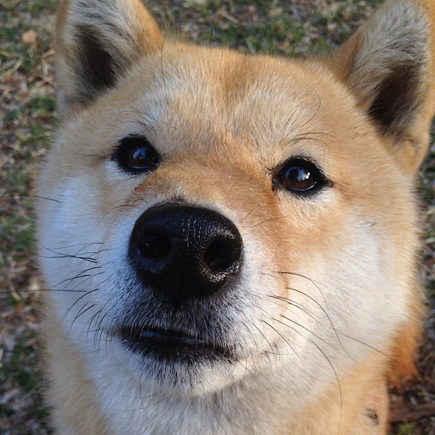 爱游戏下载-外援管理政策精准施策，优化联赛引援环境，外援项目