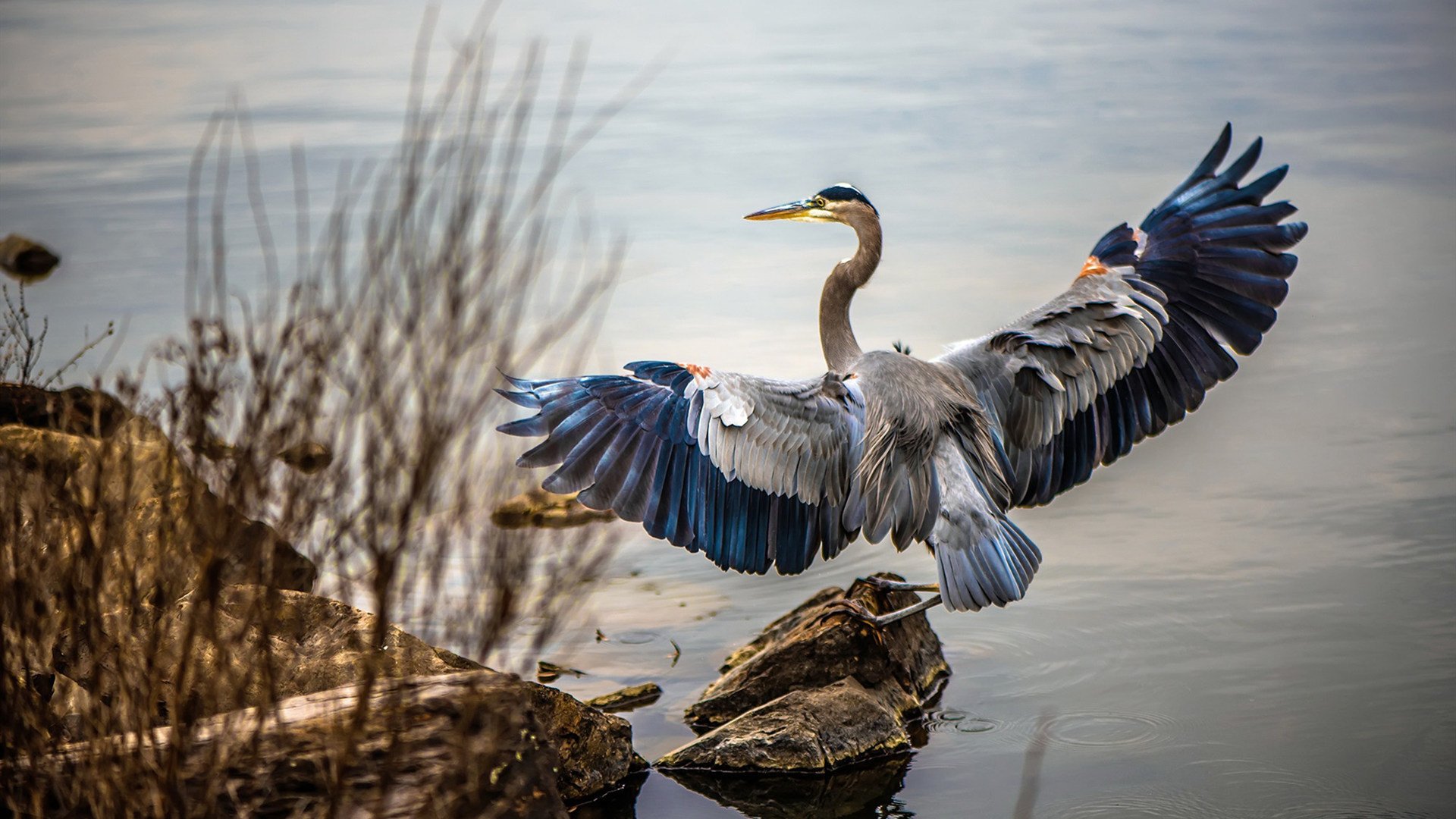 爱游戏体育平台-德甲战况激烈，比分2-2，比赛亮点：场上双方抢断成功率都超过70%，德甲比分竞猜攻略