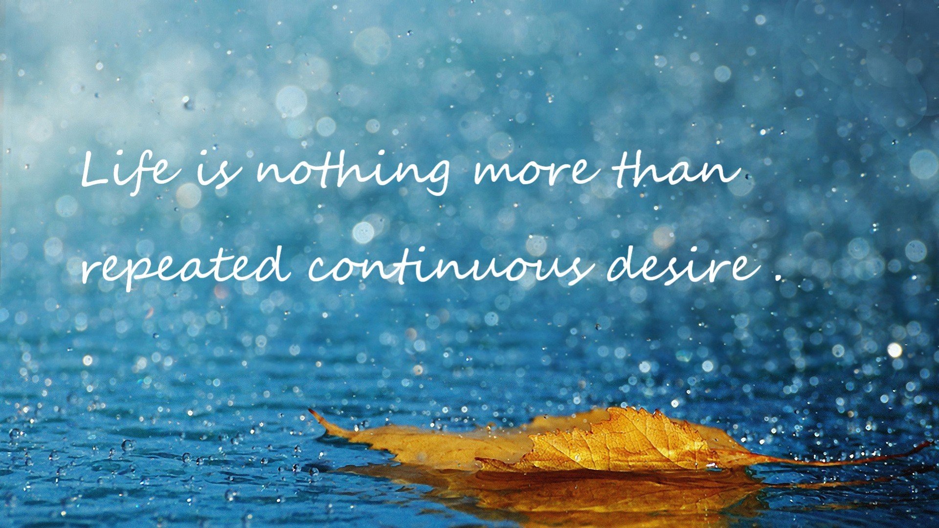 终极“绝杀大侠”：最令人感动的欧冠收官瞬间，绝杀集锦