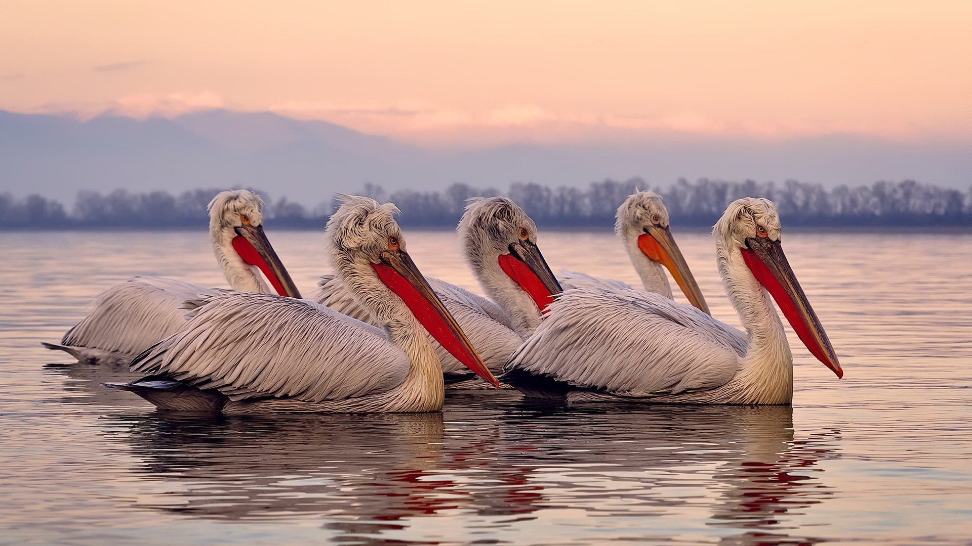 爱游戏体育app-克罗地亚队在巴黎奥运会手球比赛中多次利用边路进攻，克罗地亚队2018