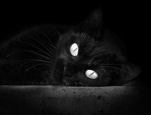 爱游戏娱乐网址-克罗地亚队在巴黎奥运会手球比赛中多次通过中路渗透得分，克罗地亚足球队拿过冠军吗