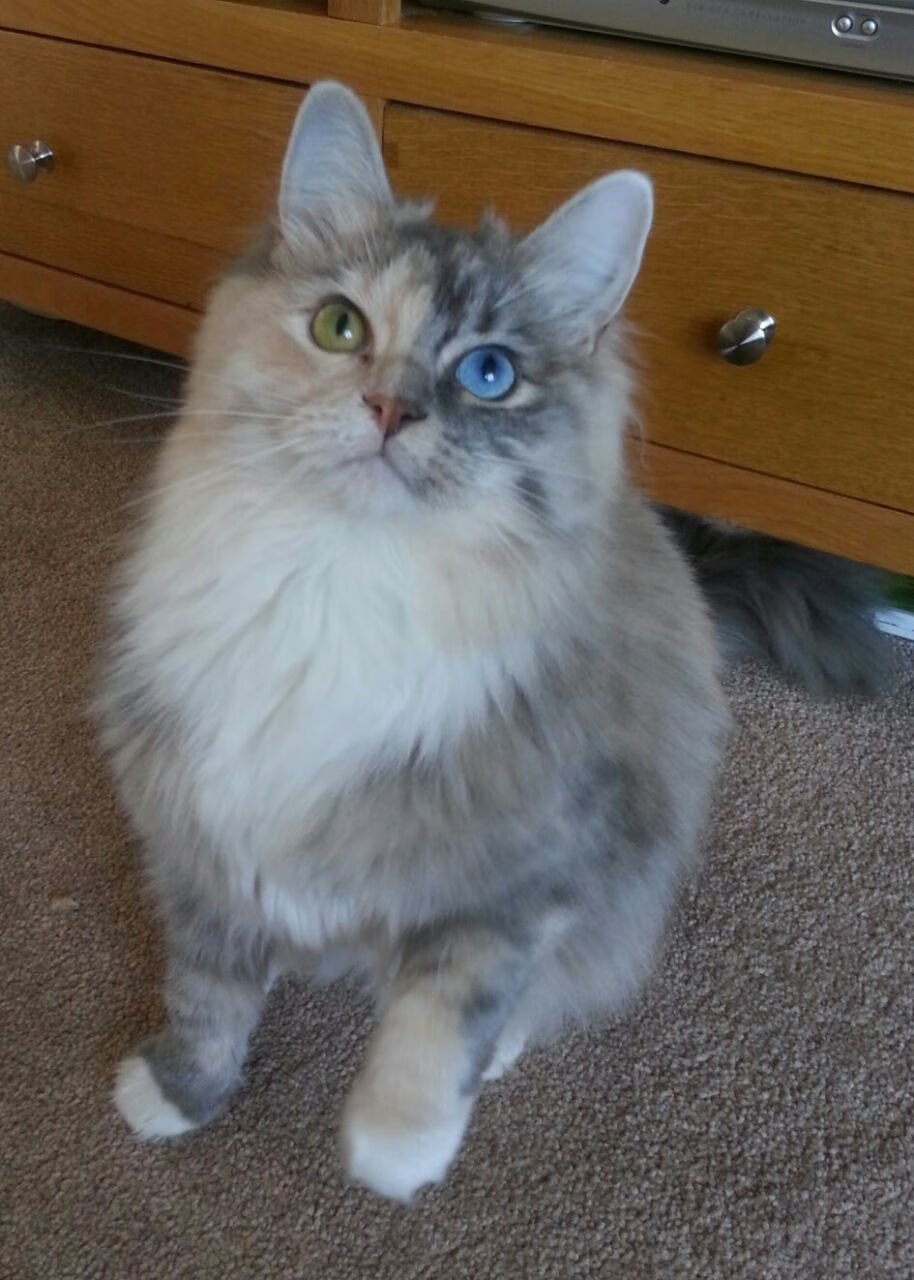 爱游戏体育官方网站-利物浦面对伯恩利，必须全力以赴，利物浦2-0伯恩利