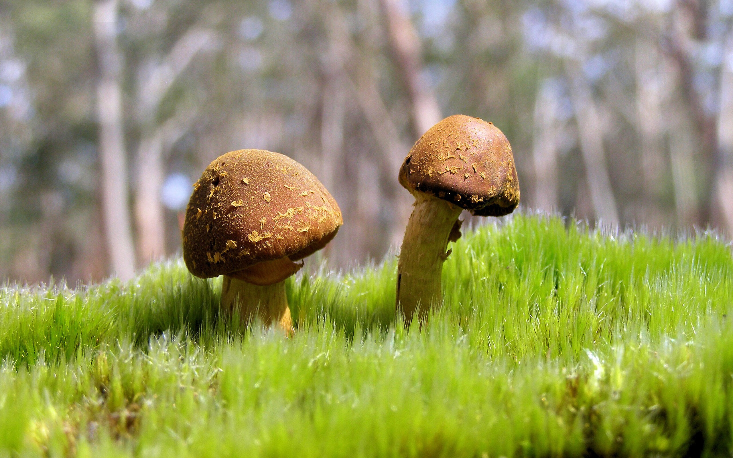 哈基米在巴黎奥运会男足比赛中展现出强大的领导力，哈基米 皇马