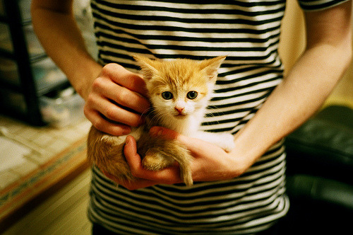 哈尔滨队加入比赛,实力备受质疑,哈尔滨的比赛