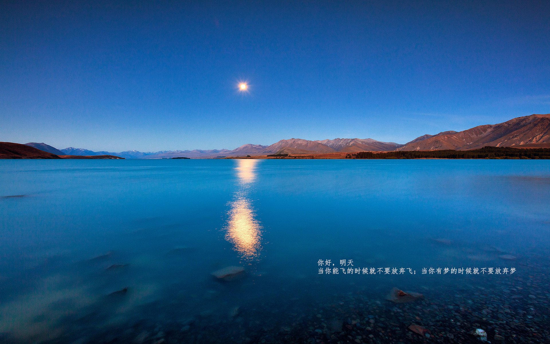 爱游戏娱乐-意大利足球比赛推出新赛季主题活动，吸引关注，意大利足球联赛