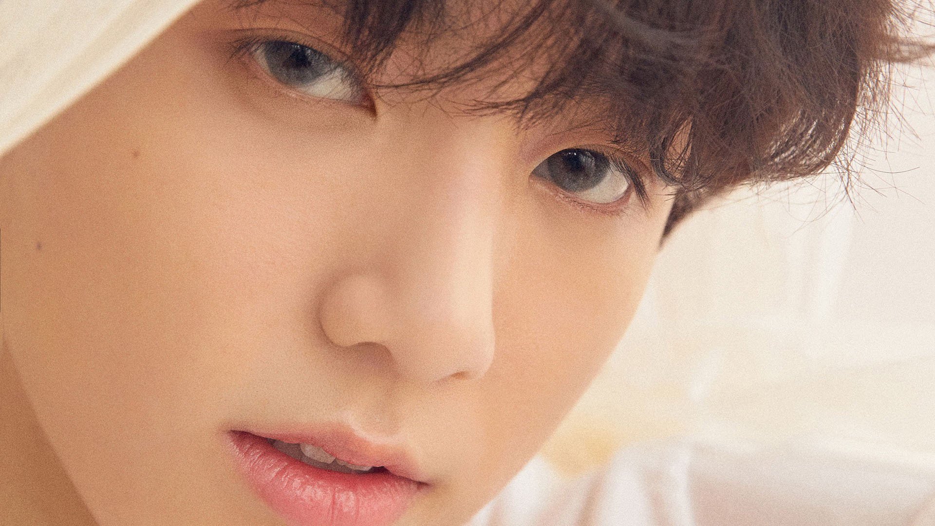 爱游戏在线娱乐官网-沃尔夫斯堡球队士气高涨，连胜态势势不可挡，沃尔夫斯堡足球俱乐部最近状态