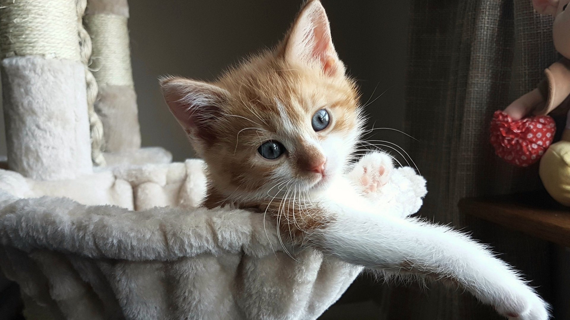 AYX GAMING-热那亚再度输球，保级形势不容乐观，热那亚怎么样