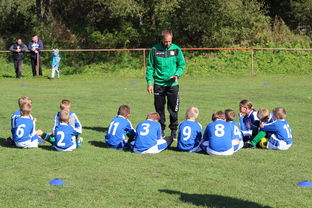 爱游戏 电竞-中国篮球教练员技术战术创新能力提升路径，篮球教练发展