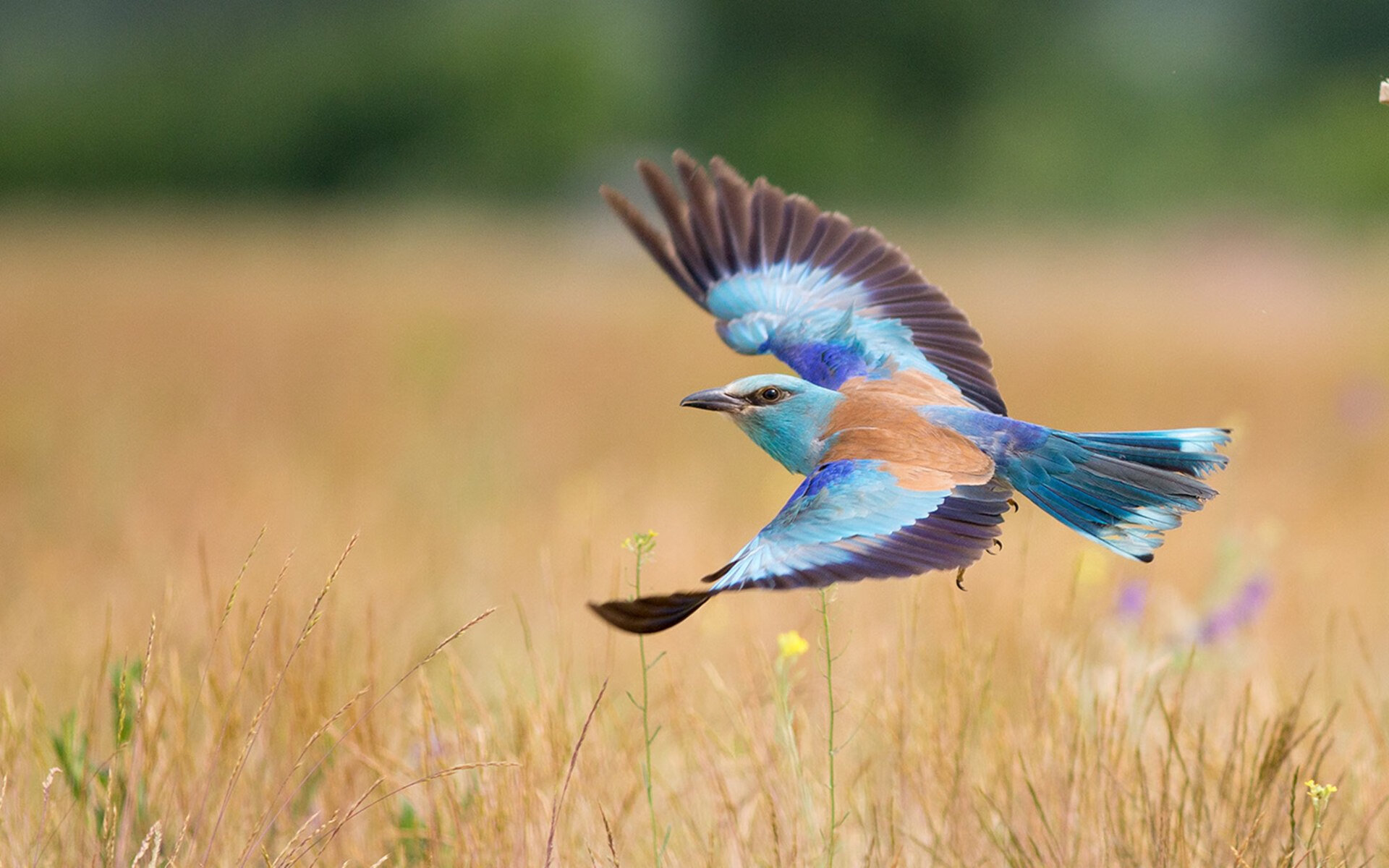 AYX体育官网-中国女篮保持高压防守形成压制态势，中国女篮保持高压防守形成压制态势的是谁