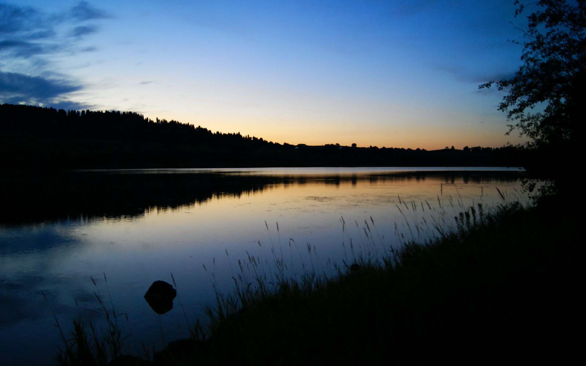 AYXSPORTSAPP-战队联名商品上线首日售罄粉丝消费力惊人，战队商店兑换什么合适