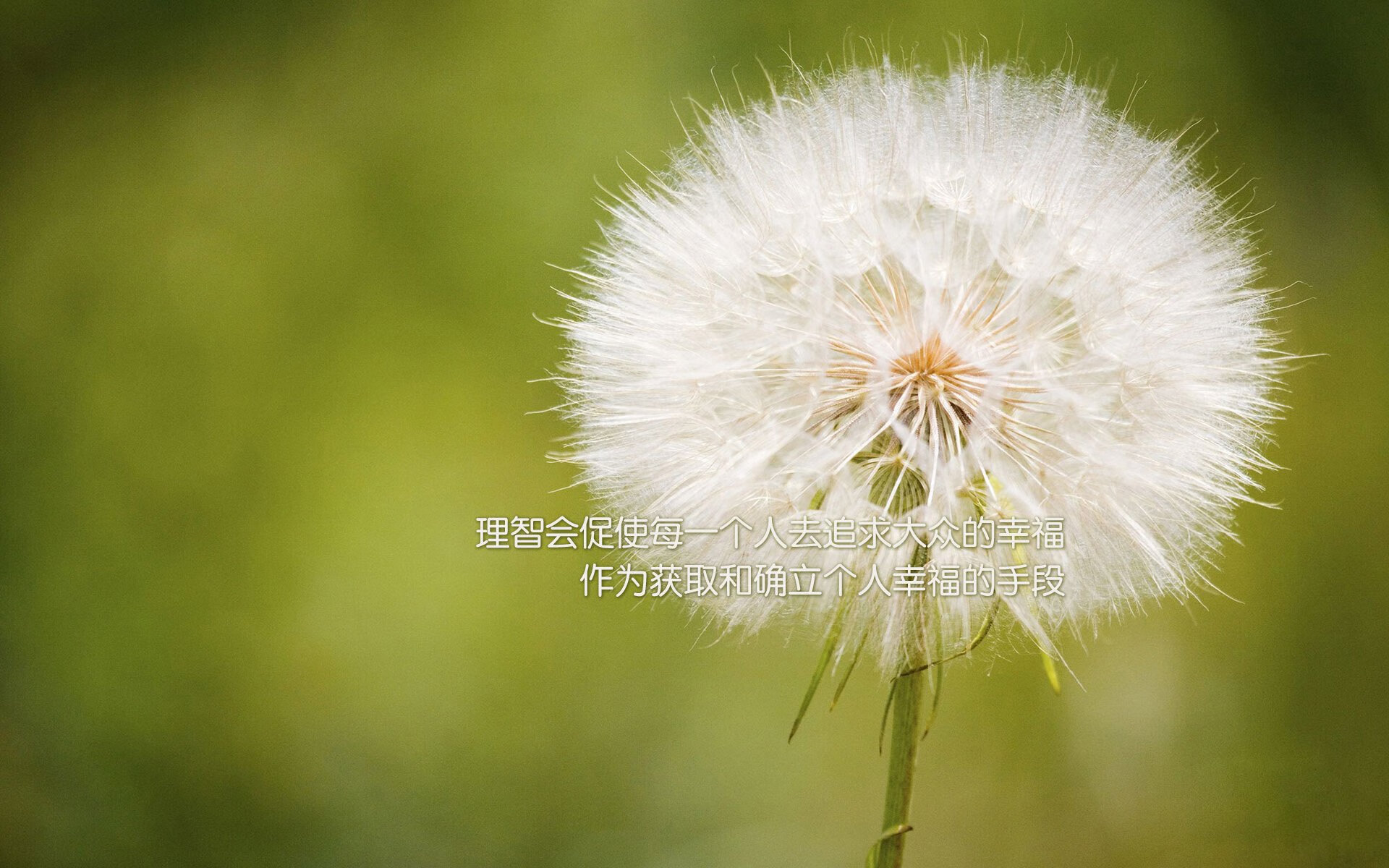 冠军时刻:奥卡拉汉出水瞬间制胜,奥卡拉市