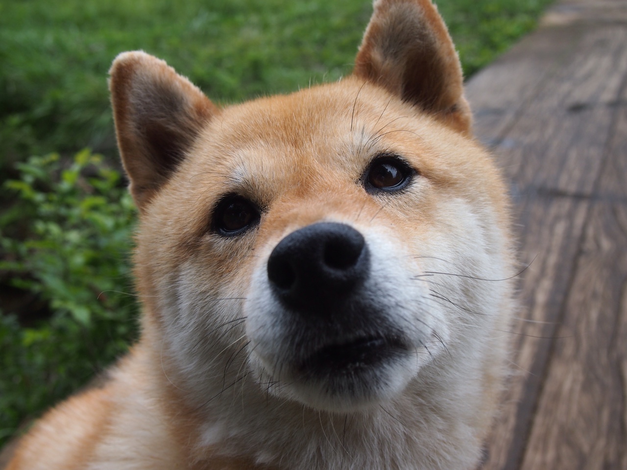 爱游戏登录入口-史密斯后程发力力压群雄，史密斯shc