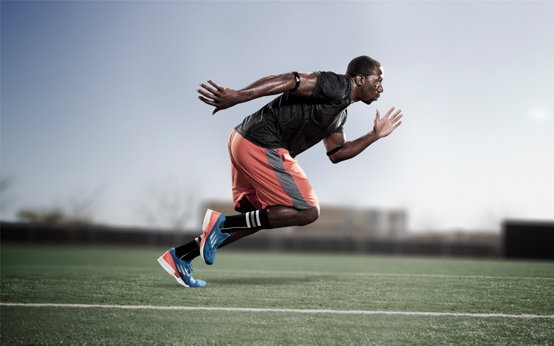 埃及男篮在非洲锦标赛中夺冠,再创辉煌