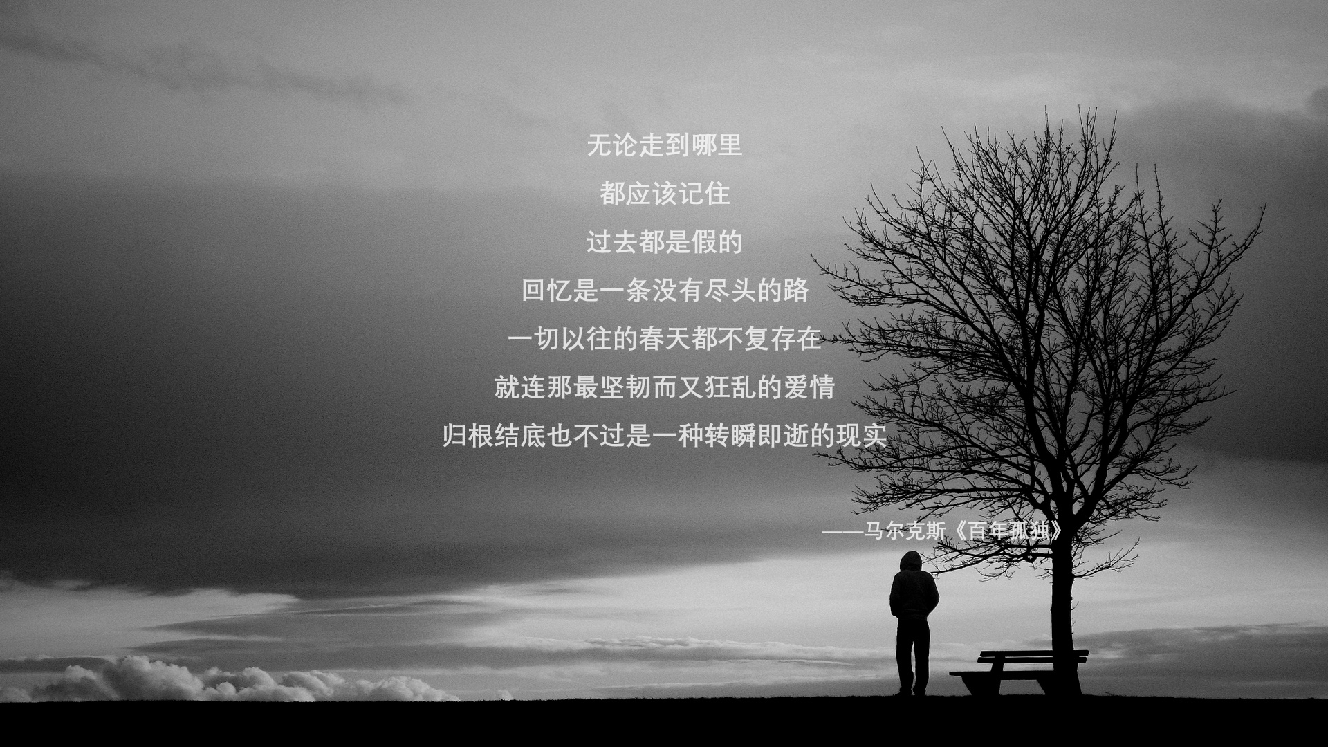 莫莉·奥卡拉汉突破自我刷新纪录，莫莉·奥西