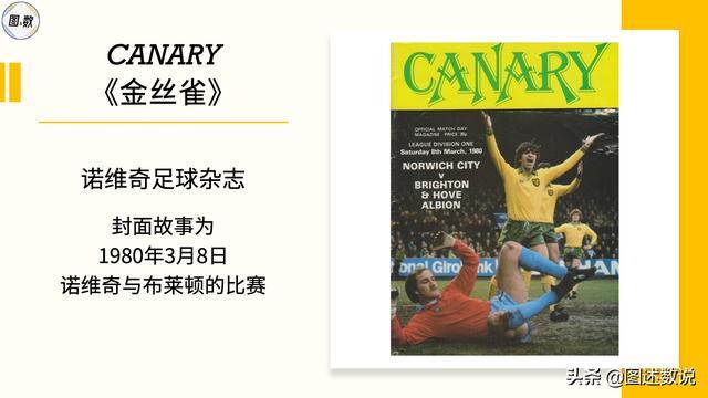 爱游戏体育：英超诺维奇的防守体系与成功秘诀的简单介绍
